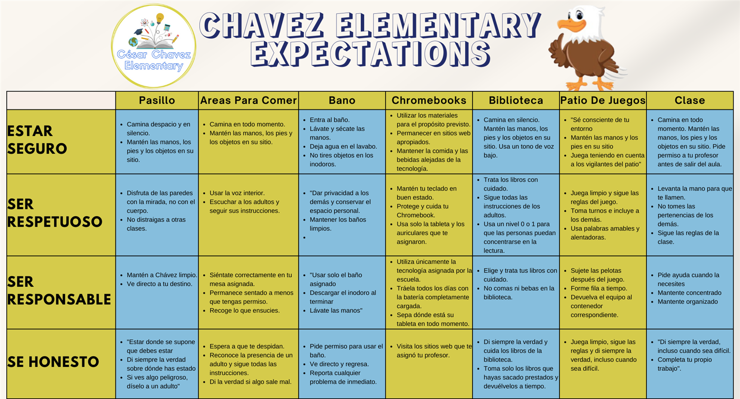 Chavez Expectations Spanish